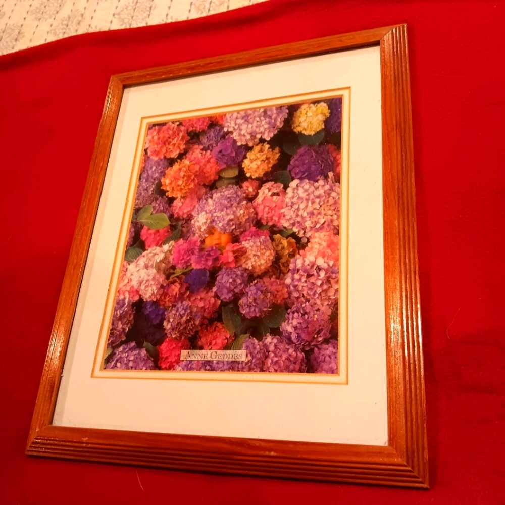 Anne Geddes framed and matted art